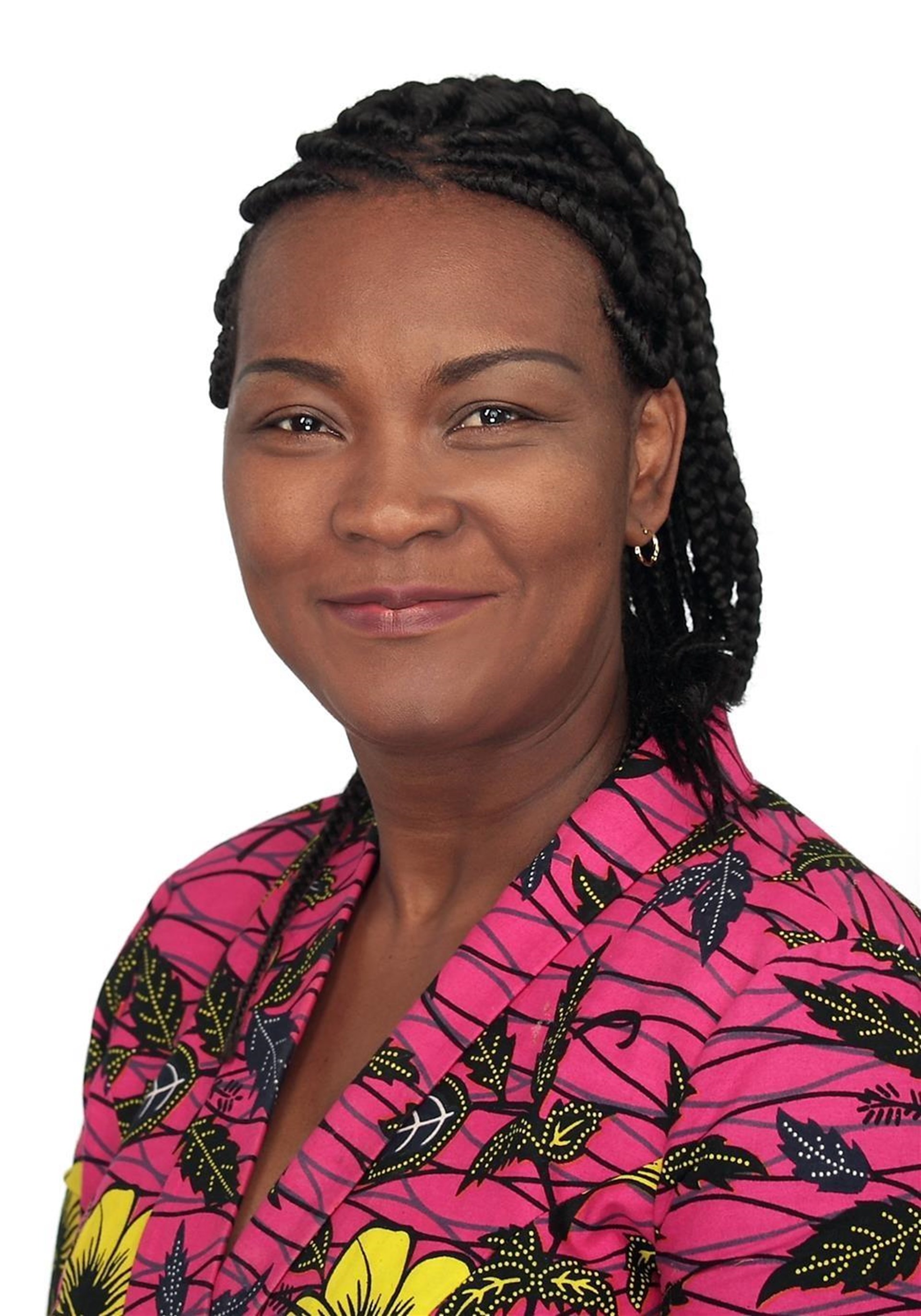 Biluge Mushegera